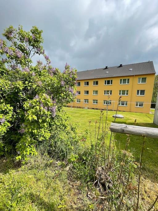 Franzis Feriendomizil Im Herzgebirge Am Skihang Auerbach  Zewnętrze zdjęcie