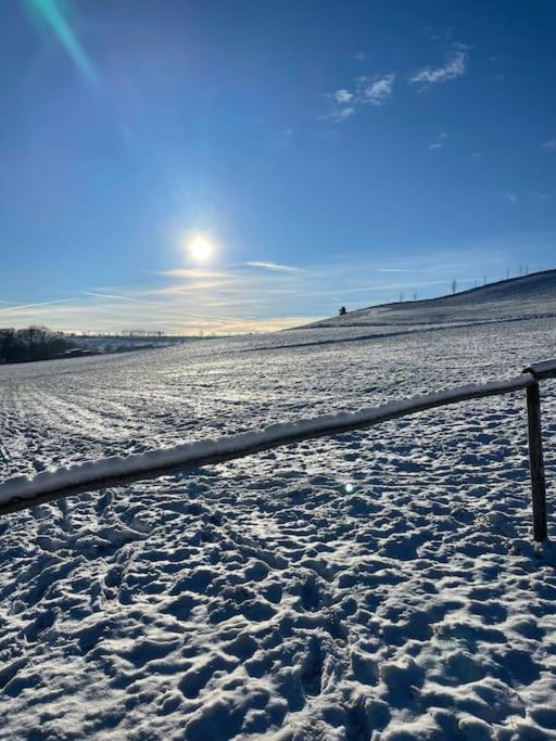 Franzis Feriendomizil Im Herzgebirge Am Skihang Auerbach  Zewnętrze zdjęcie