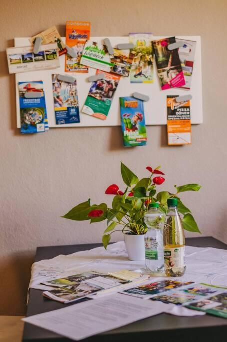 Franzis Feriendomizil Im Herzgebirge Am Skihang Auerbach  Zewnętrze zdjęcie